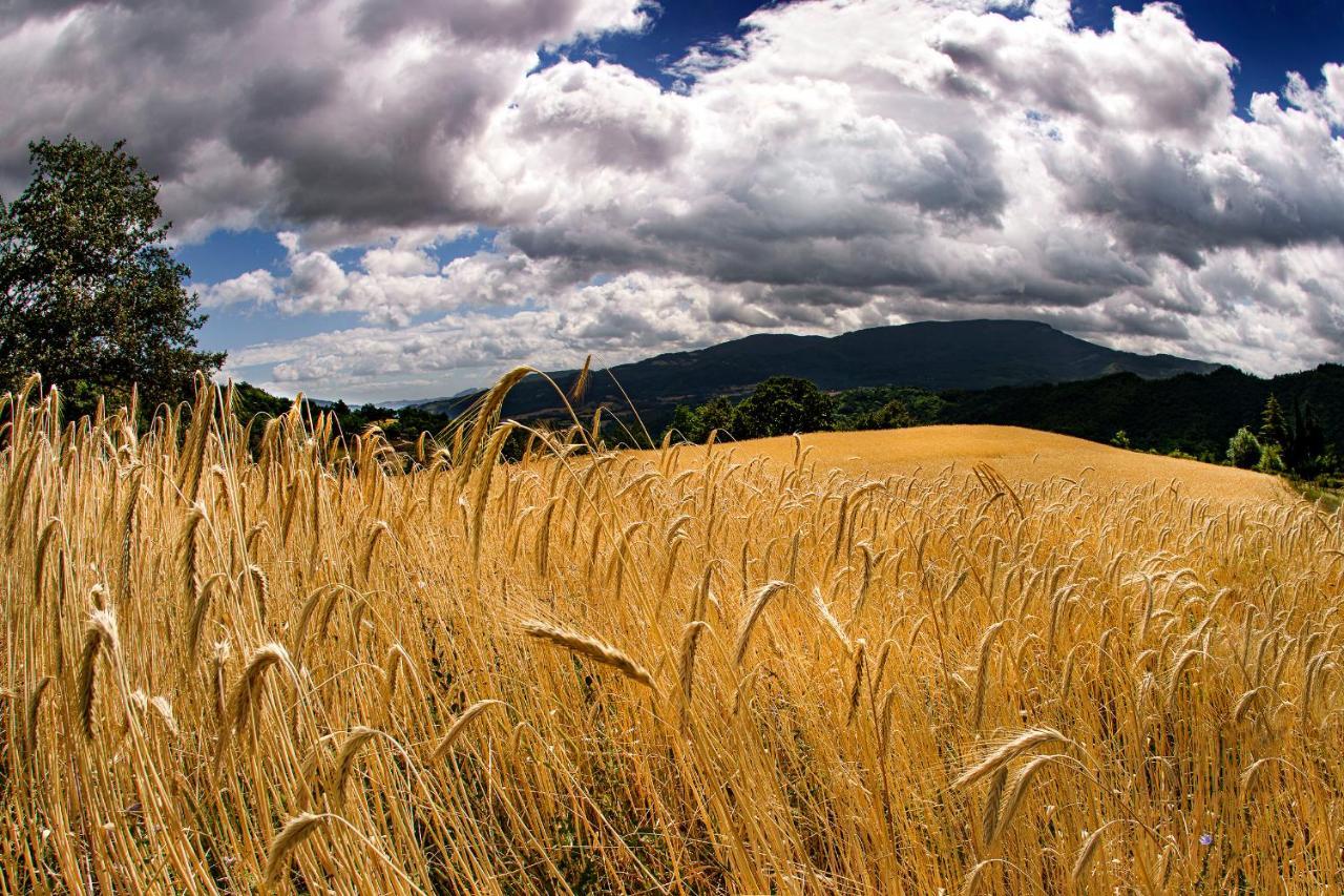 Agriturismo Biologico Autosufficienza บาโญ ดิ โรมาญา ภายนอก รูปภาพ